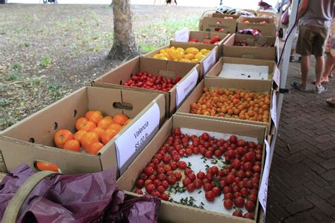 Charleston Farmers Market