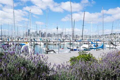 Auckland New Zealand Nz September 16 2020 View Over Westhaven