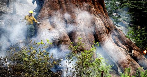 Residents return as containment grows for Yosemite fire