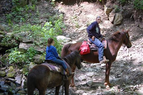 Photos For Cades Cove Riding Stables Yelp