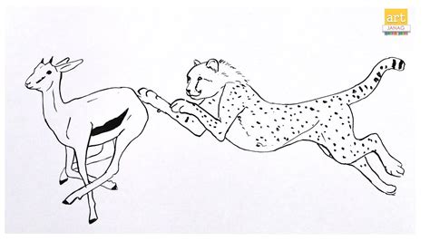 Cheetah Hunting Deer Drawing II How To Draw Tiger Hunting To Deer