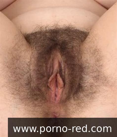 Hairy Puss Porn Pic