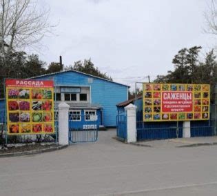 Компания "Саженцы Алтая": адрес, телефон, режим работы