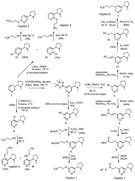 Synthesis Of Haptens 1 2 3 4 6 And 7 Download Scientific Diagram