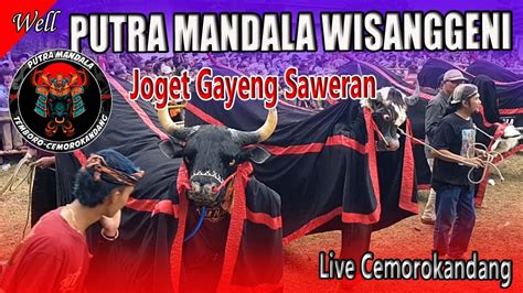 BANTENGAN PUTRA MANDALA WISANGGENI Dan CALEG PEMILU JOGETAN GAYENG