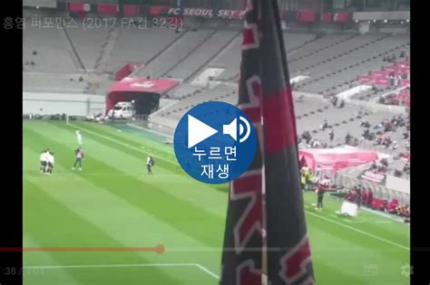 직캠 2024년 K리그1 개막전 Fc서울 Vs Fc안양 상암 국내축구 에펨코리아