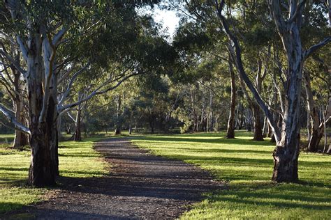 Kaurna Park Wetlands City Of Salisbury