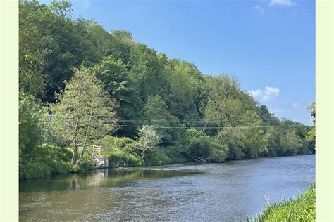 River Teifi Woodlands Abercych Pembrokeshire Wales And The Welsh