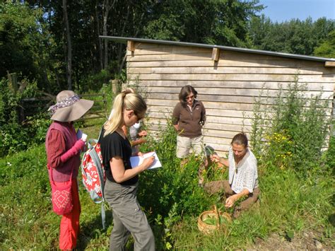 Le Jardin D H L Ne Balade Plantes Sauvages Comestibles Et Atelier