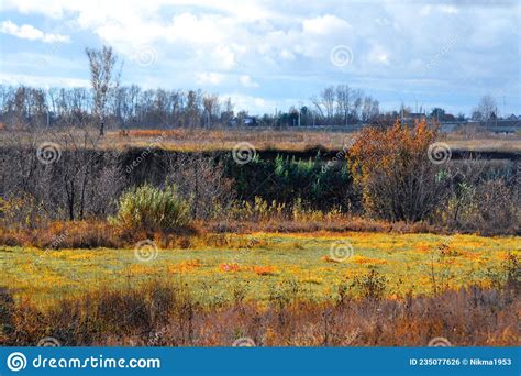 Nature Altaya stock photo. Image of rise, autumn, altaya - 235077626