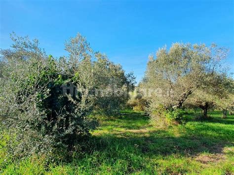 Terreno Agricolo Via Lelio Lorenzetti Genzano Di Roma Rif