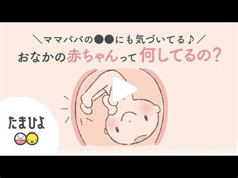 ママ・パパの〇〇にも気づいてる♪おなかの赤ちゃんって何してるの？【動画】｜たまひよ