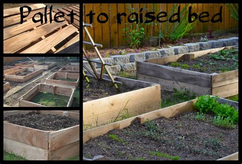 Wild Card Garden Bug: Making Raised Beds Out of Pallets