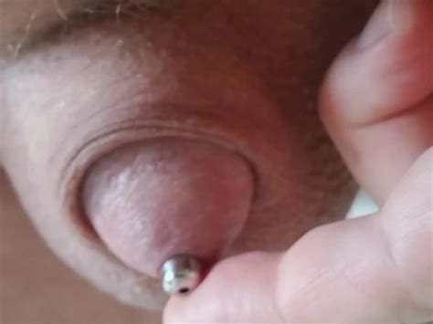 Renee Sub S Porn Videos And Reels Nude Photos And Bio On XHamster