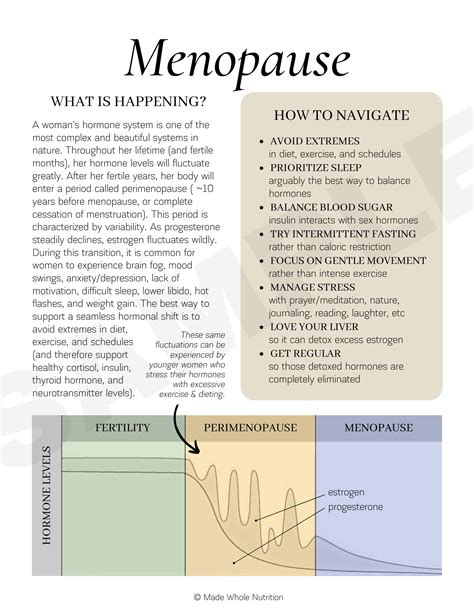 Macro Basics Handout Bundle — Functional Health Research Resources — Made Whole Nutrition