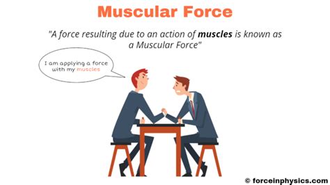 Muscular force - Force in Physics