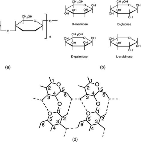 A Cellulose Molecule B Principal Sugar Residues Of Hemicellulose