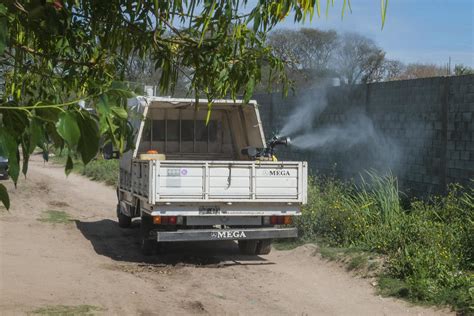 El Municipio Trabaja En La Fumigaci N Contra Mosquitos Paran Hacia