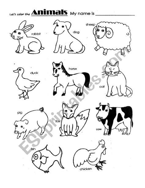 Animals Esl Worksheet By Sue Animals Esl Worksheet By Duekilde