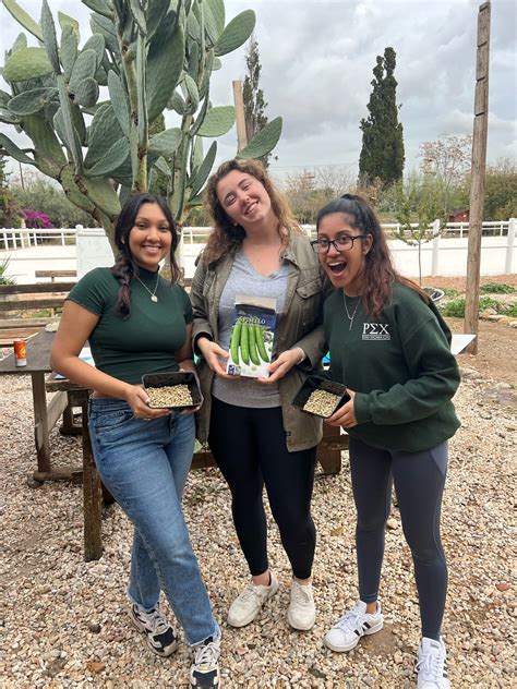 Sustainable Urban Growth — Alternative Break Program