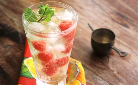 Drinks Gin Receitas Refrescantes Para Fazer Em Casa