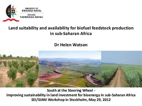 Land Suitability And Availability For Biofuel Feedstock Production In