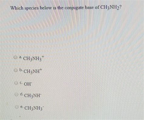 Solved Which Species Below Is The Conjugate Base Of Ch Nh Chegg