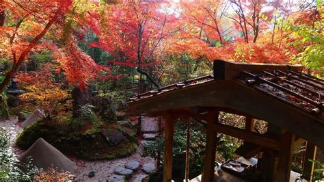 京都の紅葉特集 宝楽園 宝泉院 autumn leaves at the Horakuen Garden Hosen in