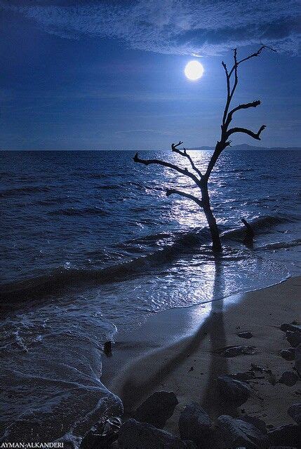 71 best images about Moonlight Scenes.