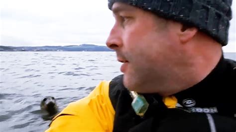 Playful Seal Rides On Mans Kayak Amazing Seal Interaction Youtube