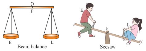 First Class Lever Seesaw