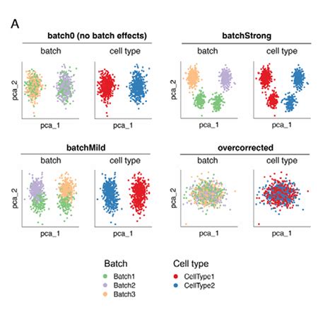 4 Handy Tips For Correcting Batch Effects Scrna Seq Analysis 101