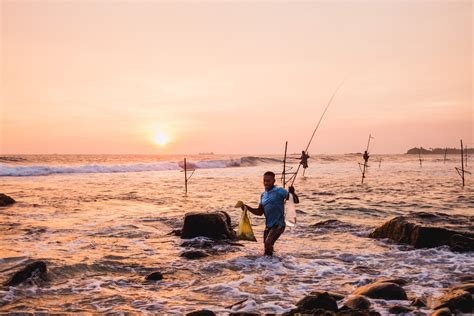 Los Mejores Consejos Para Utilizar Cebos Vivos En La Pesca Descubre