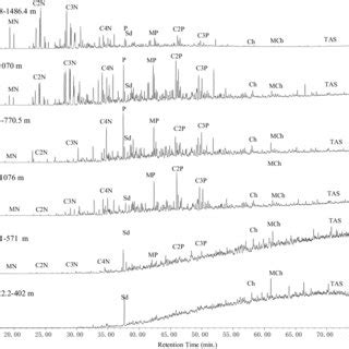 Representative Total Ion Current Chromatograms Tic Of The Aromatic