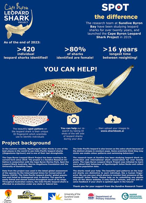 Cape Byron Leopard Shark Project Sundive Sundive Byron Bay