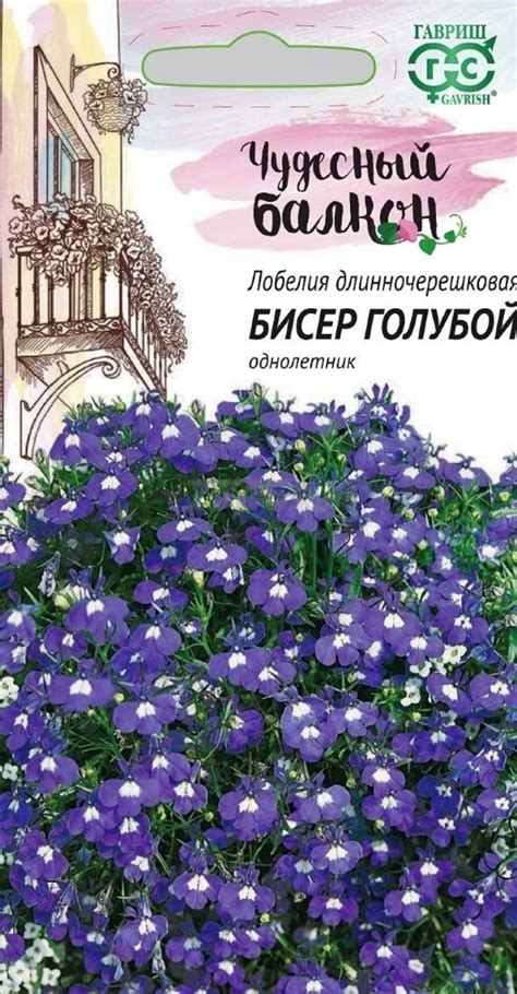 Семена Лобелия Длинночерешковая Бисер Голубой - купить по выгодной цене ...