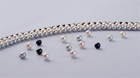 Akoya Pearls – Pearl Paradise