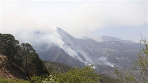 Van Incendios Forestales En Hidalgo Durante Peri Dico Am