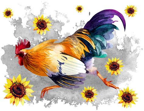 Watercolor Clipart Rooster Watercolour Chicken Art Printable Etsy