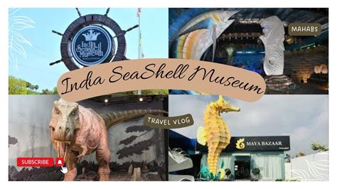 Seashell Museum At Mahabalipuram The Largest Seashell Museum In India