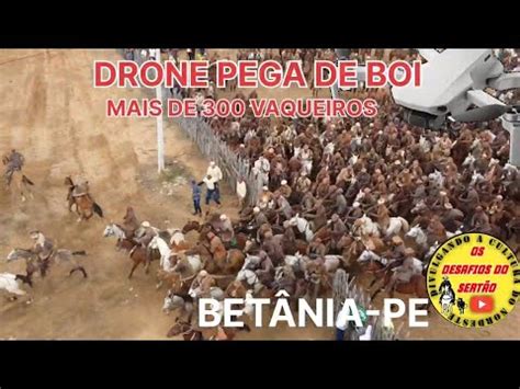 Drone Pega De Boi No Mato S Tio Riacho Fechado Bet Nia Pe Org N Dio E