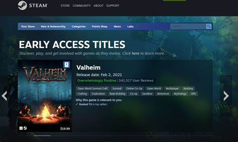 Steam Started Early Access For Games 10 Years Ago Now Its Everywhere