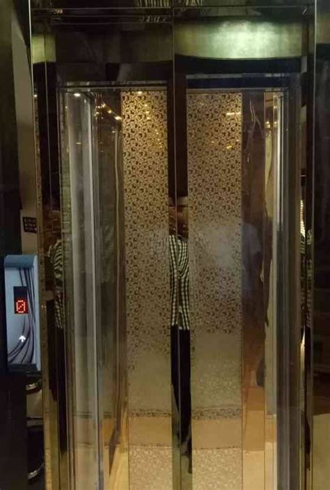 Stainless Steel Center Opening Passenger Glass Elevator Steel Swing