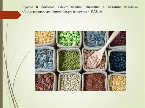 Блюда из круп и бобовых. 6 класс - презентация онлайн