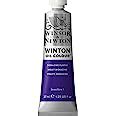 Amazon Winsor Newton Winton Oil Color Paint 37 Ml Tube