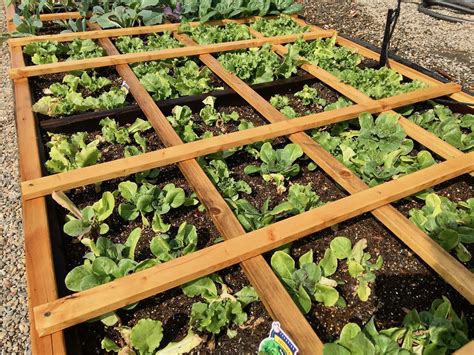 Square Foot Gardening Tips