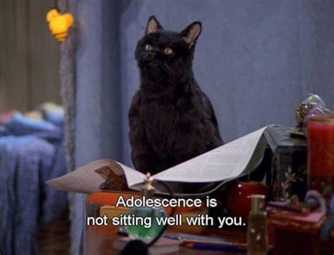 The 40 Greatest Things Ever Said By Salem The Cat | Funny quotes for ...