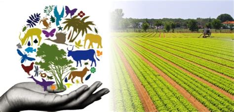 Biodiversity And Agriculture Federation Of Seed Industry Of India