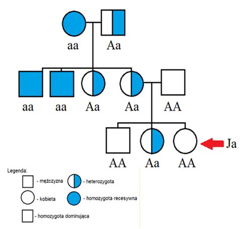 Okre L Kt Ry Allel Badanej Cechy Masz Po Zadanie Strona