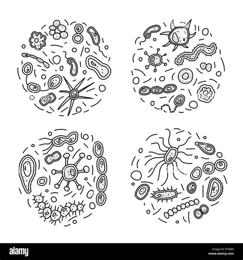 Round Sketch Compositions Of Bacterias Cells Microorganism Collections